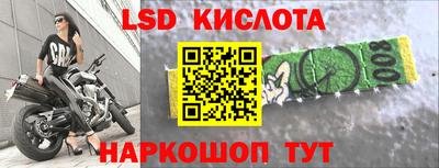 крисы Кулебаки
