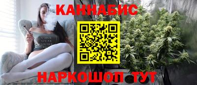 крисы Кулебаки