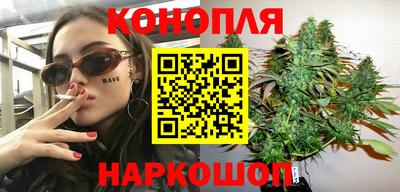 крисы Кулебаки