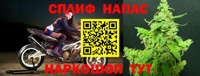 крисы Кулебаки