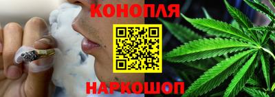 крисы Кулебаки