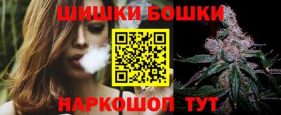 крисы Кулебаки
